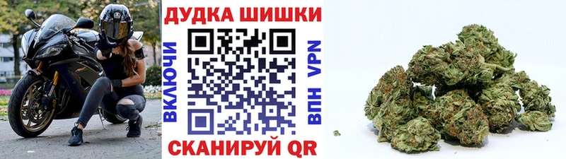 Канабис OG Kush  Купить  Егорьевск 